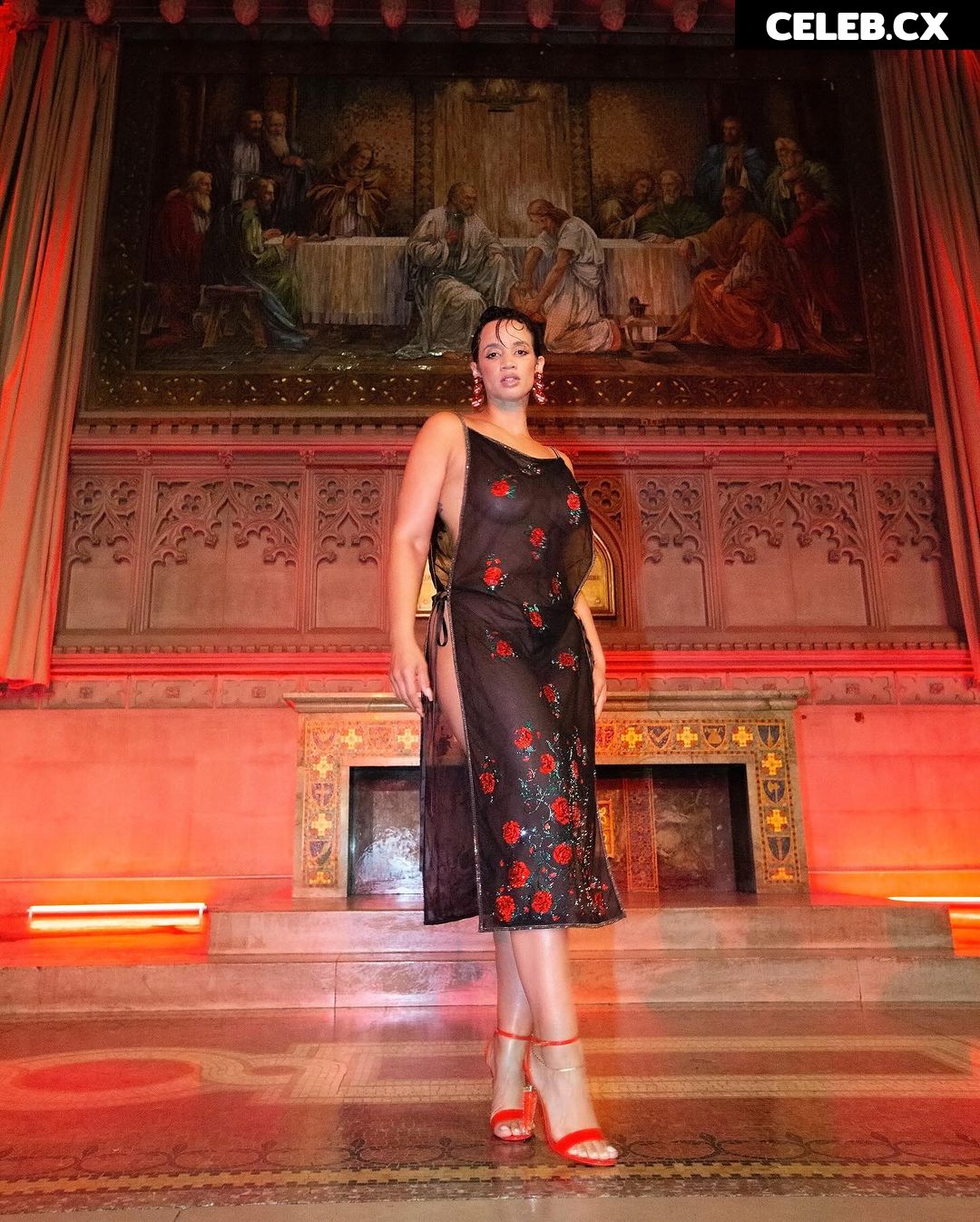 Dascha Polanco Image 5440603