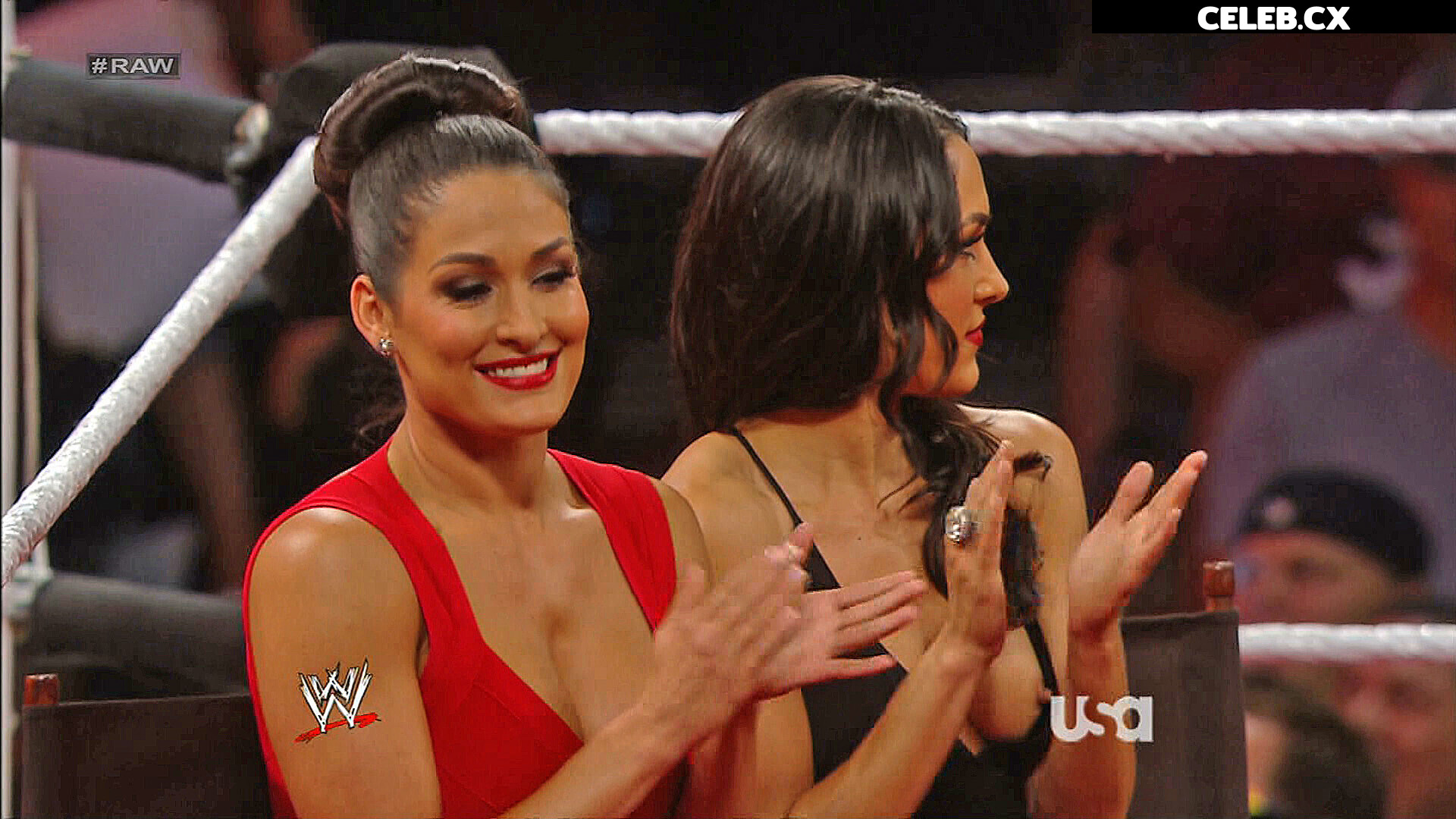 Women of Professional Wrestling Image 4385798