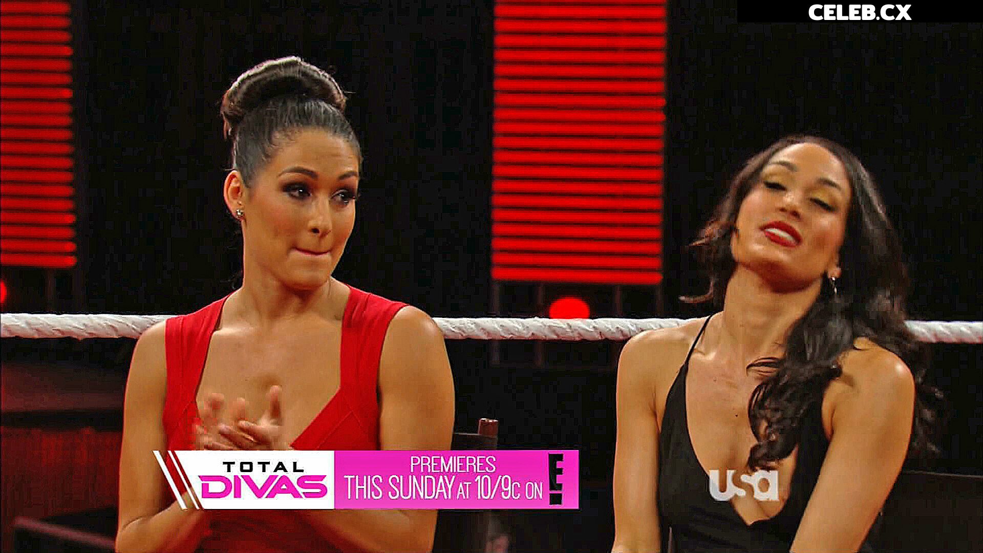 Women of Professional Wrestling Image 4385904