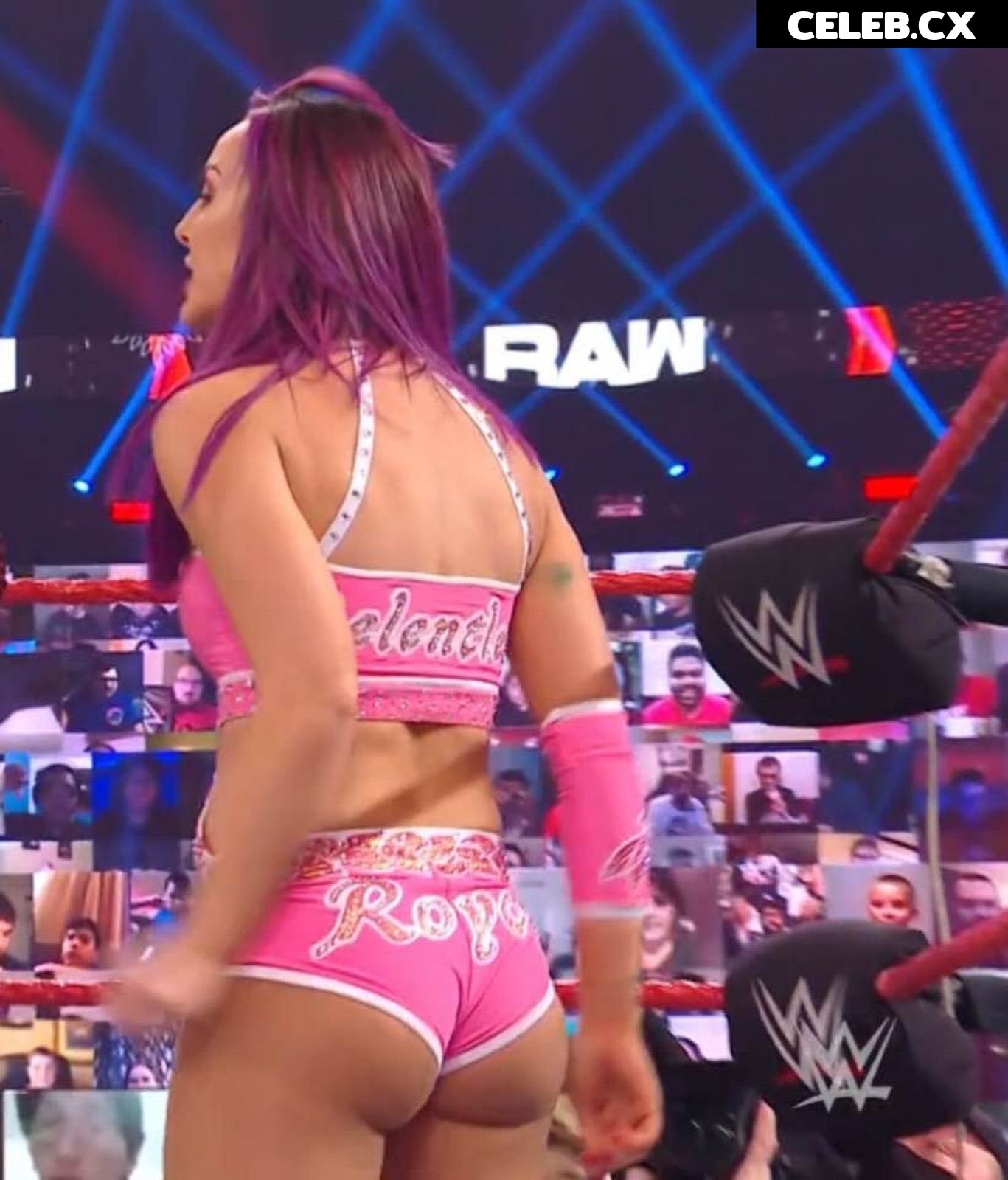 Women of Professional Wrestling Image 4375625