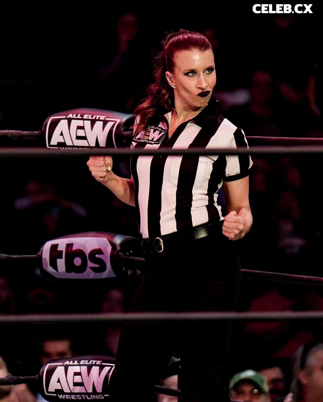 Women of Professional Wrestling Image 4376226