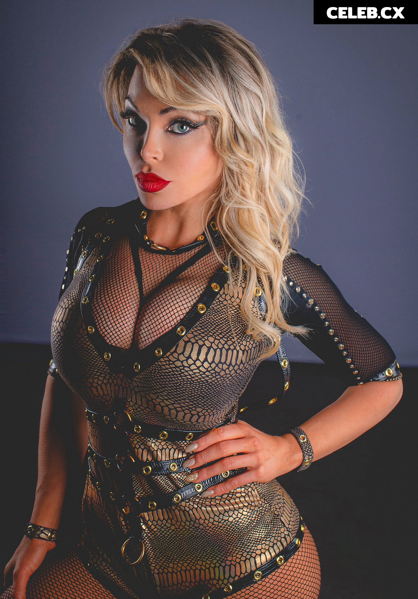 Women of Professional Wrestling Image 4367508