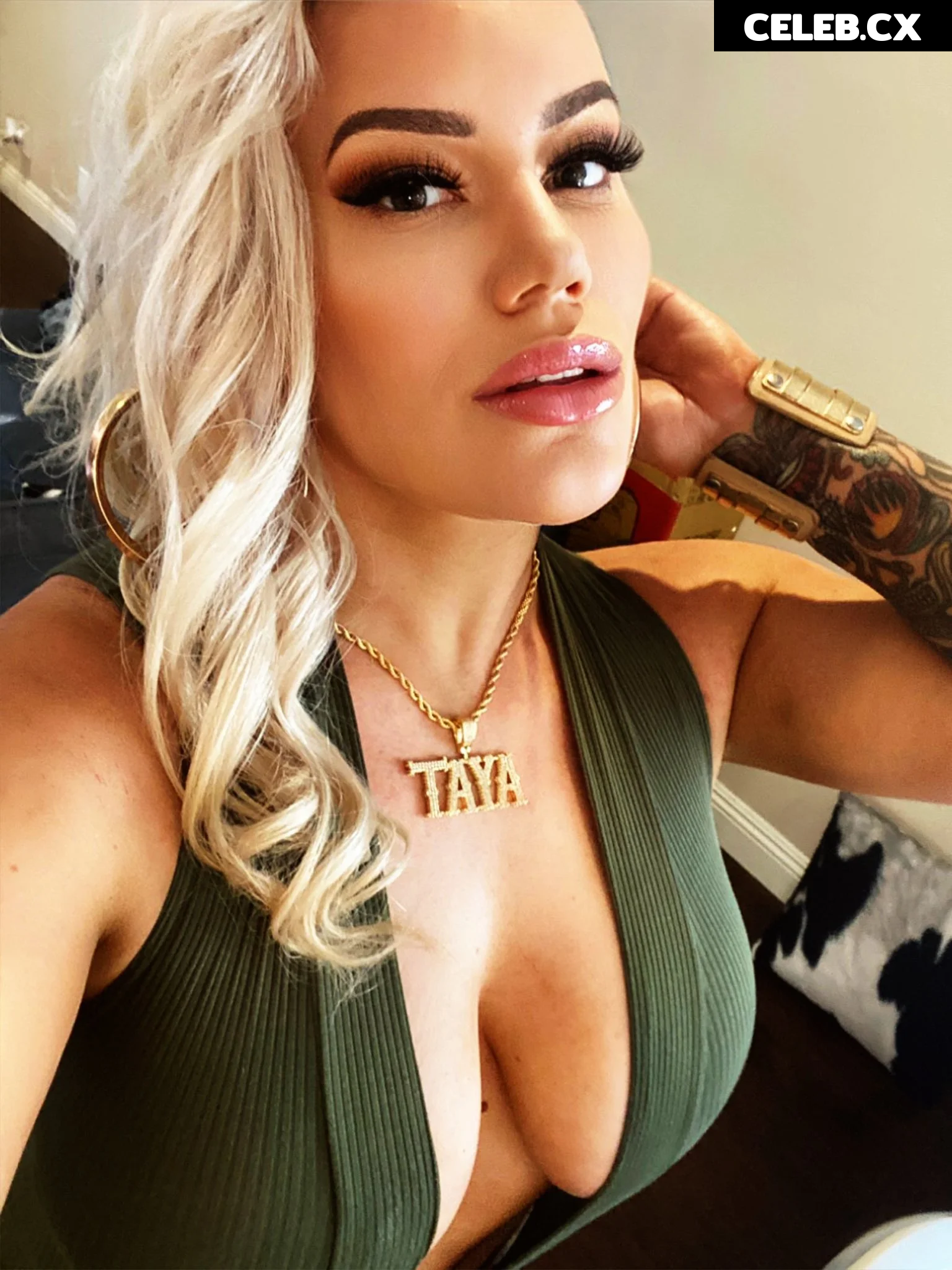 Women of Professional Wrestling Image 4369402