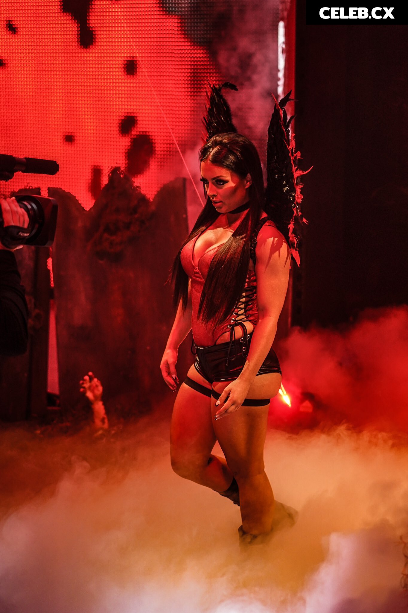 Women of Professional Wrestling Image 4368452