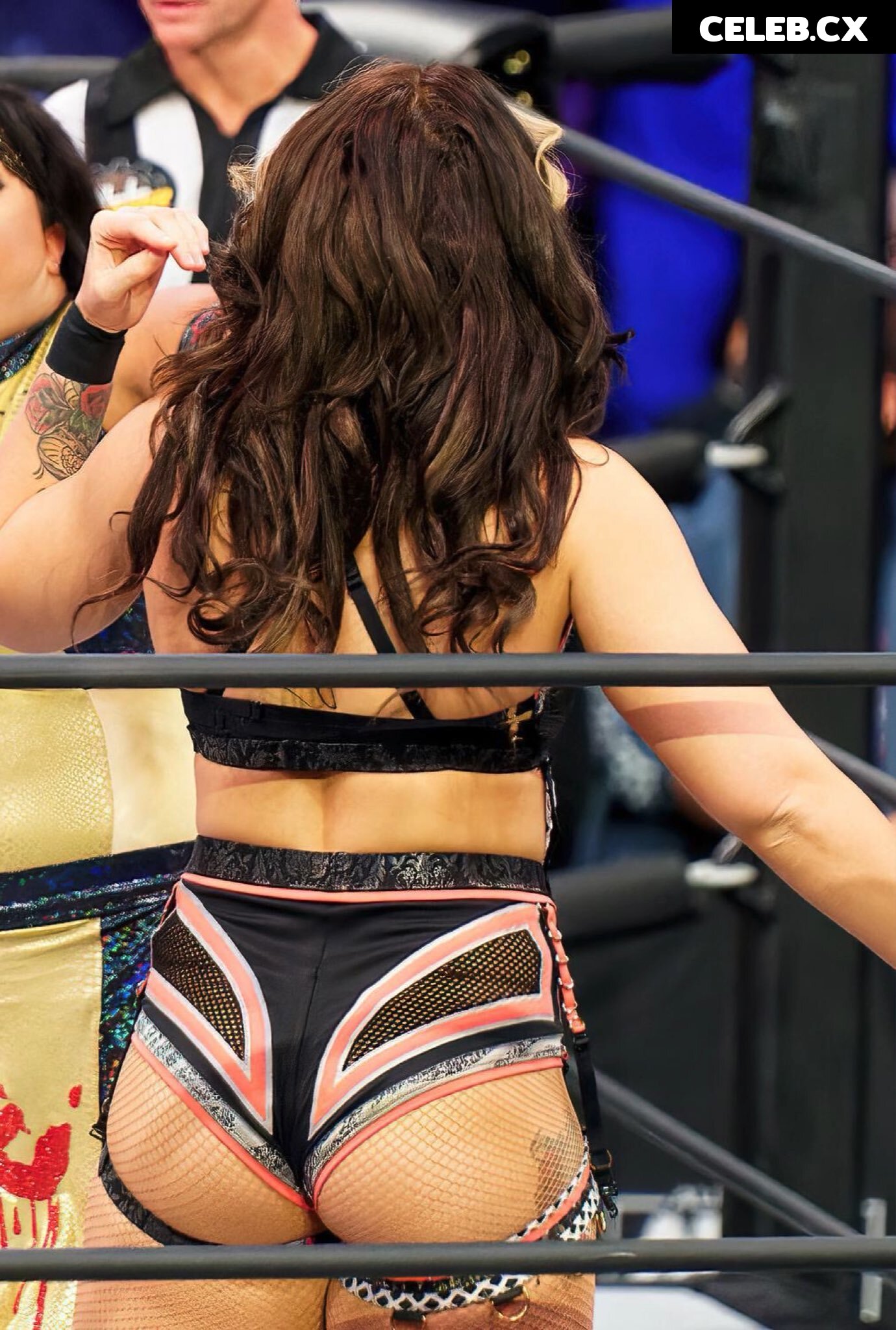 Women of Professional Wrestling Image 4368214