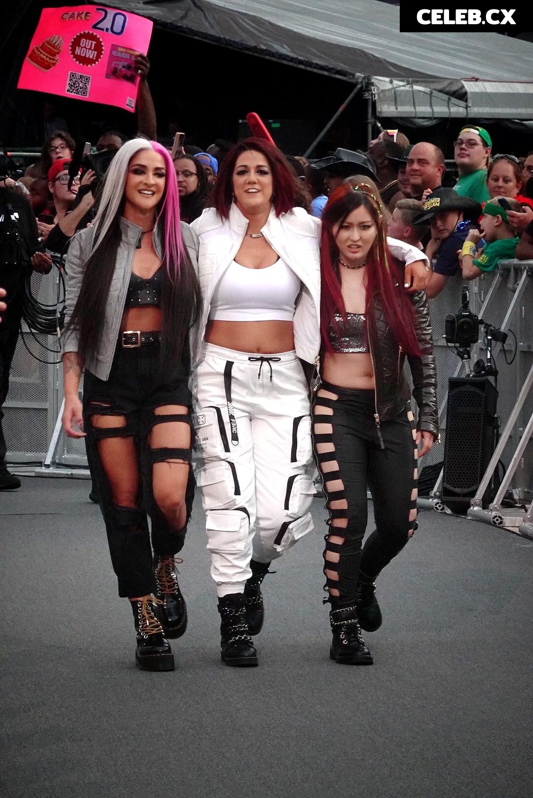 Women of Professional Wrestling Image 4496932