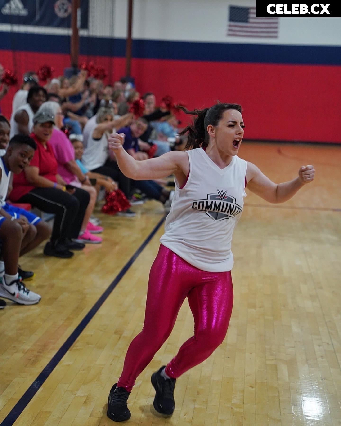 Women of Professional Wrestling Image 4497283