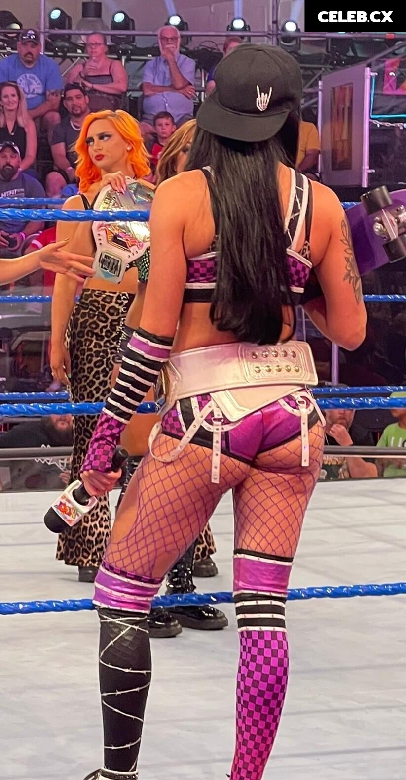 Women of Professional Wrestling Image 4491624