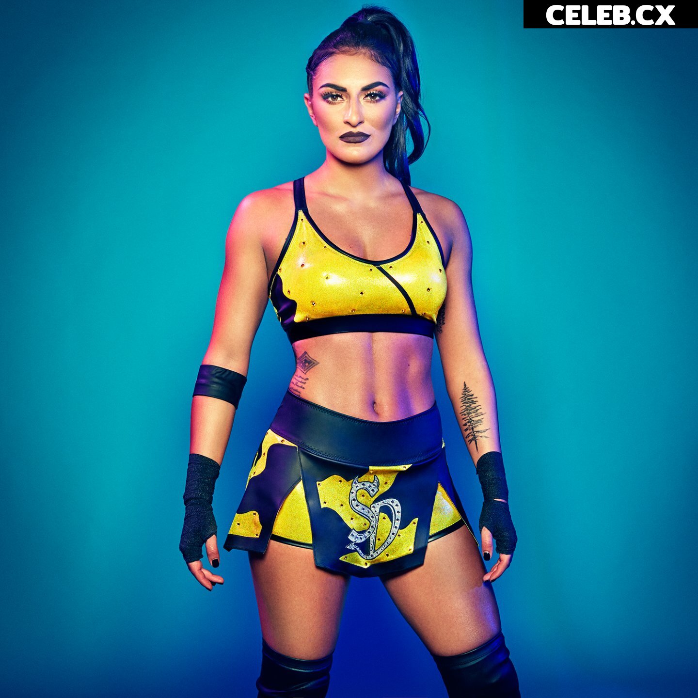 Women of Professional Wrestling Image 4491328