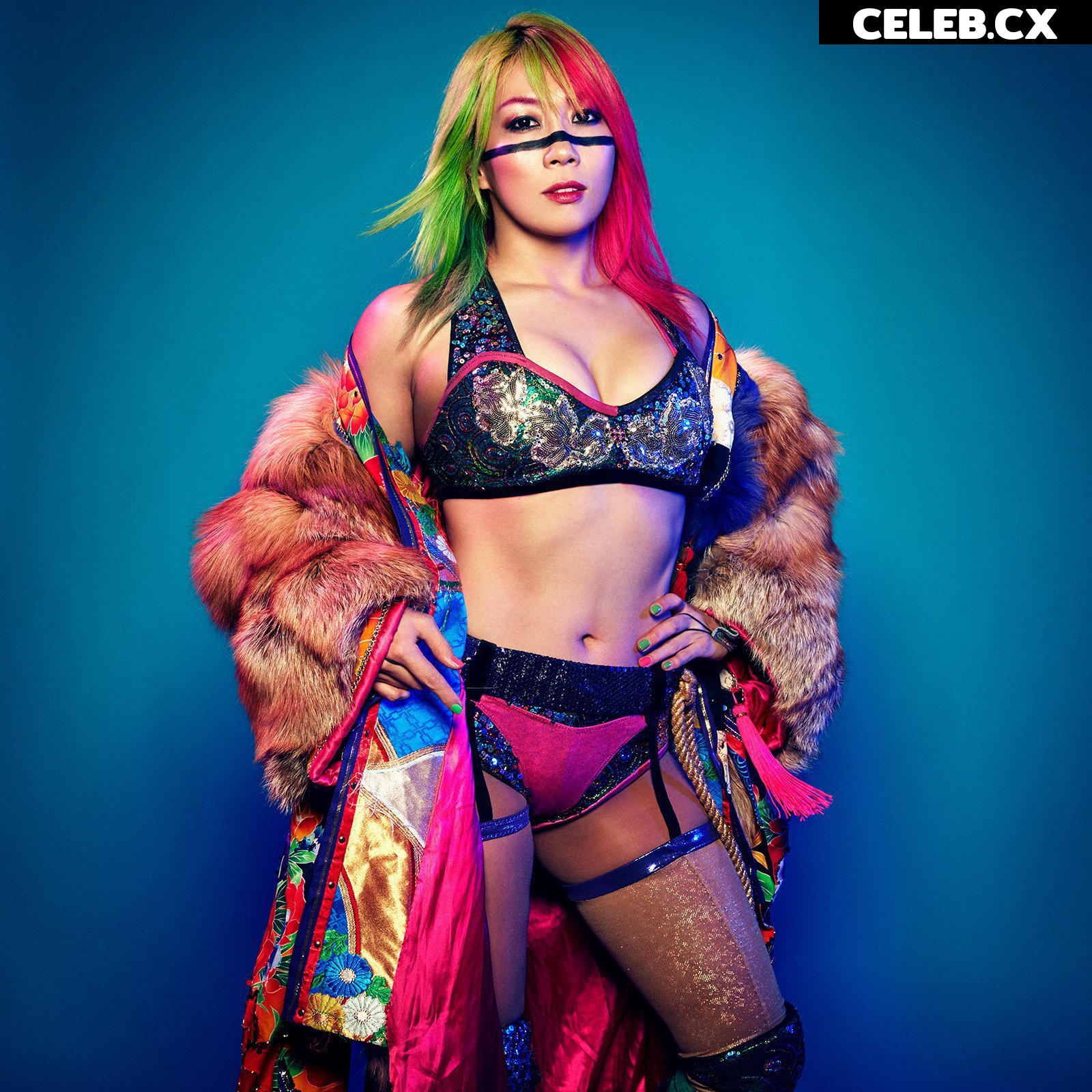 Women of Professional Wrestling Image 4491268