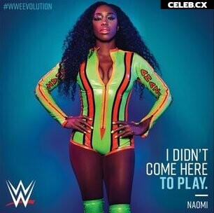 Women of Professional Wrestling Image 4491238
