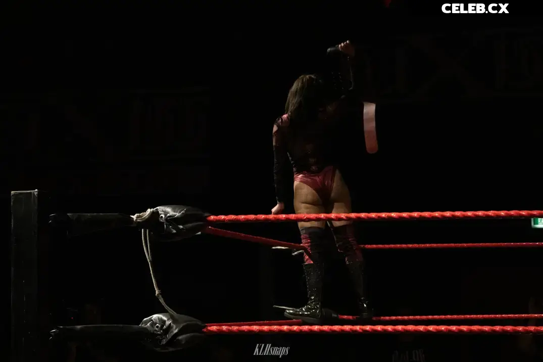Women of Professional Wrestling Image 4490642