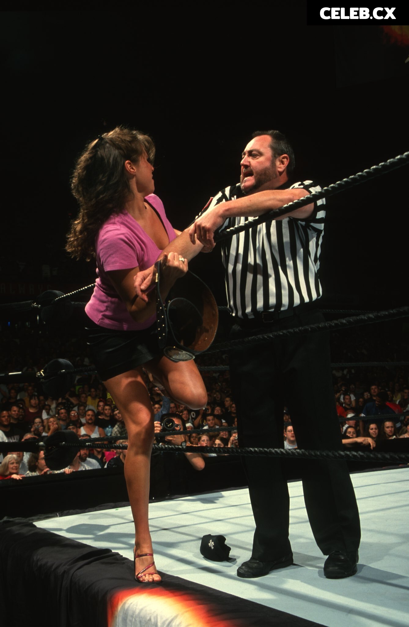 Women of Professional Wrestling Image 4482185