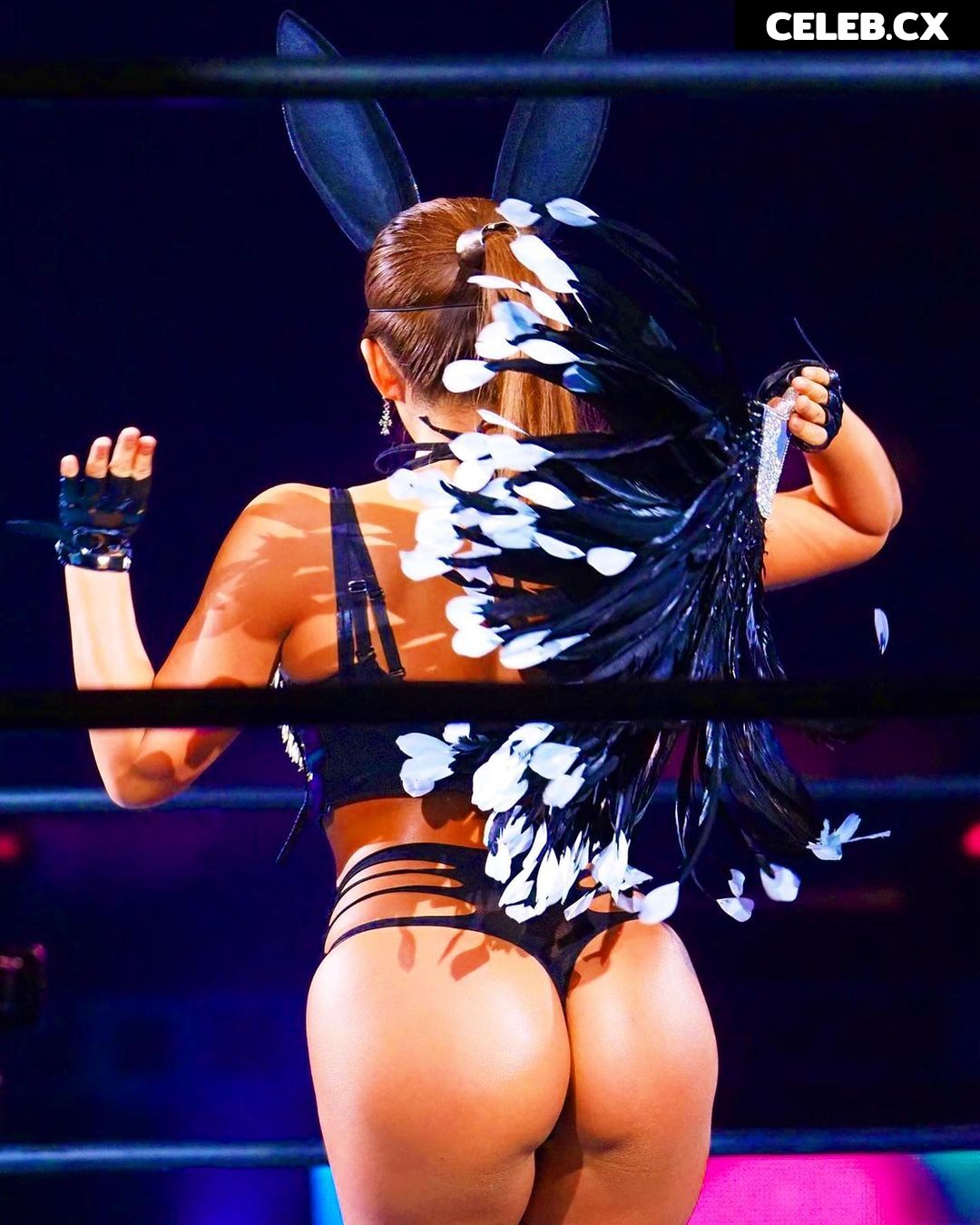 Women of Professional Wrestling Image 4473728