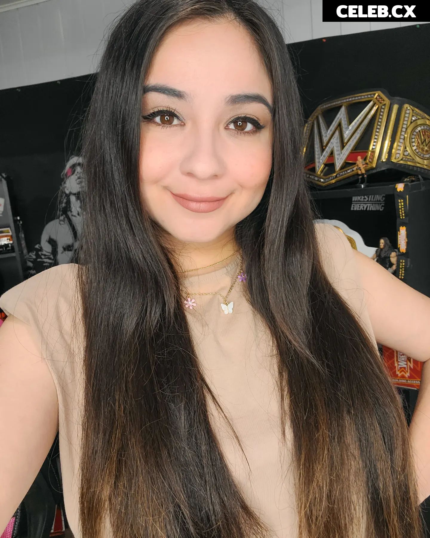 Women of Professional Wrestling Image 4479696