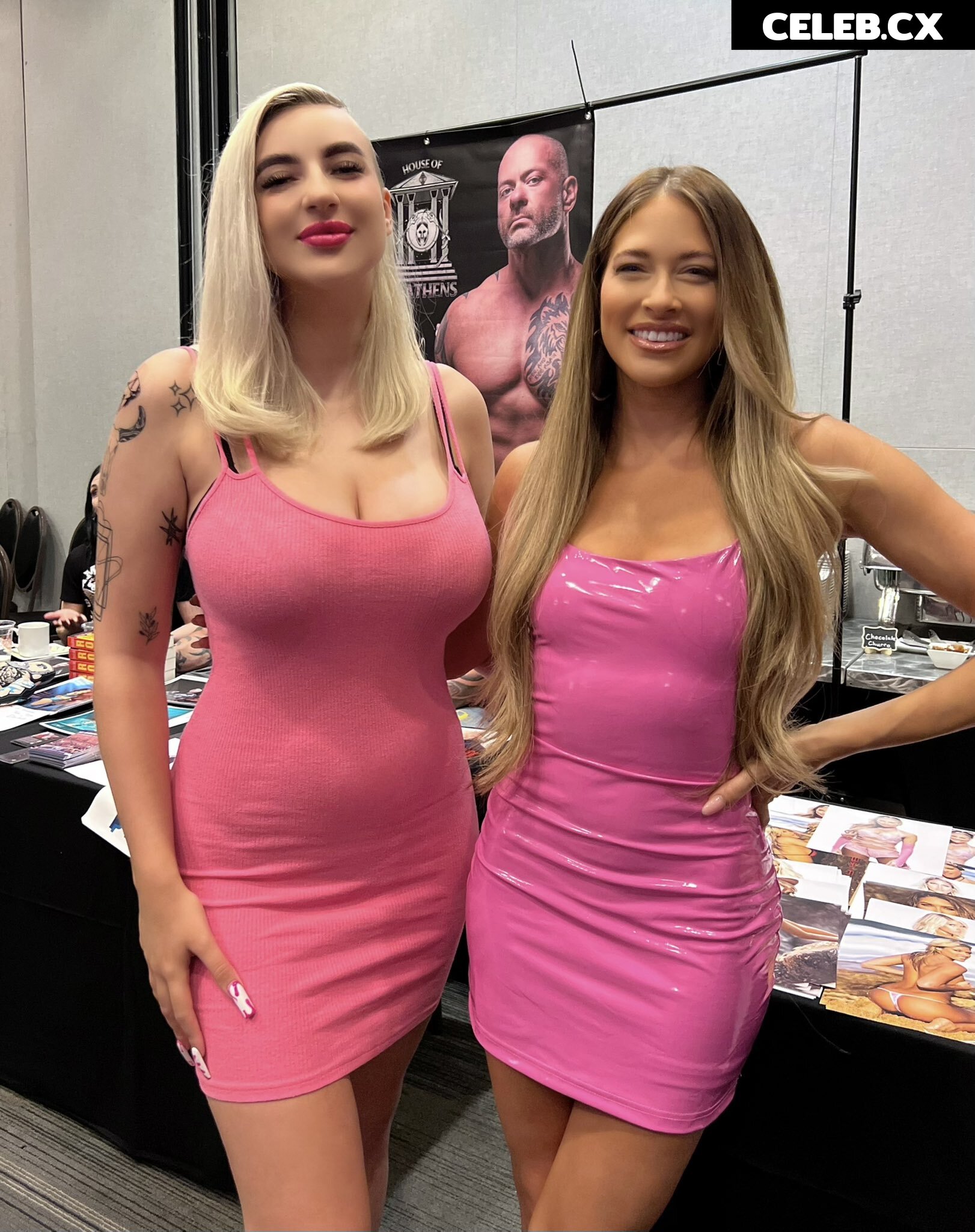 Women of Professional Wrestling Image 4479661