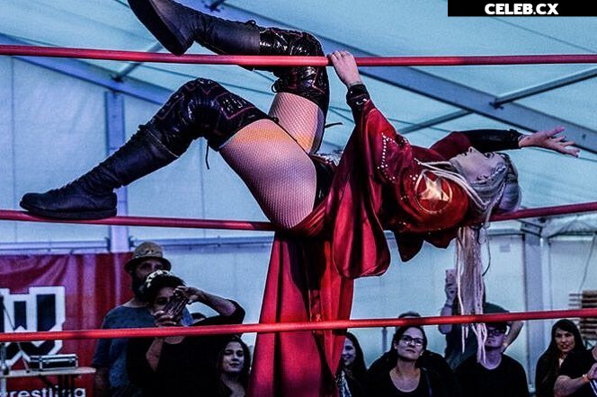 Women of Professional Wrestling Image 4479237