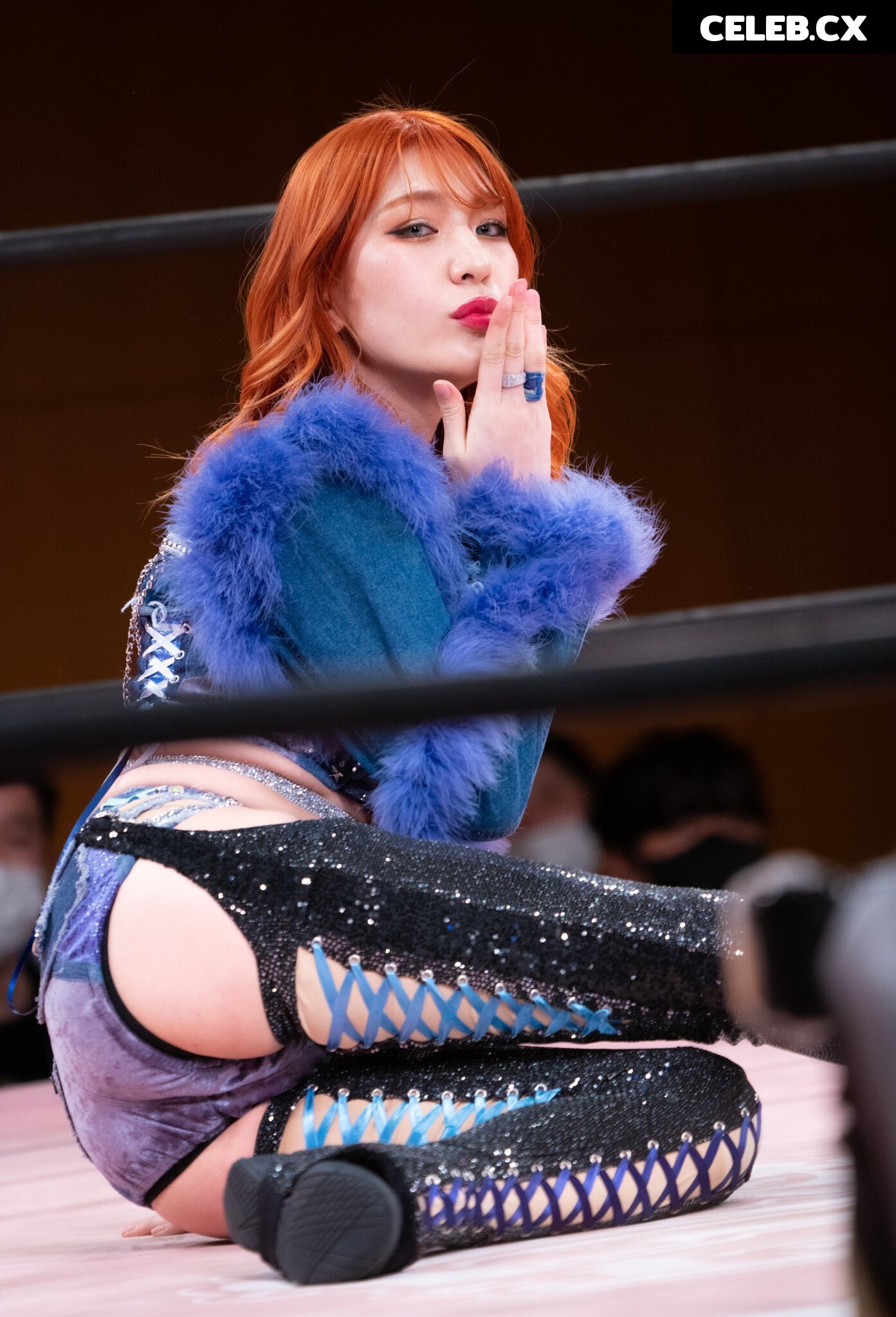 Women of Professional Wrestling Image 4478289