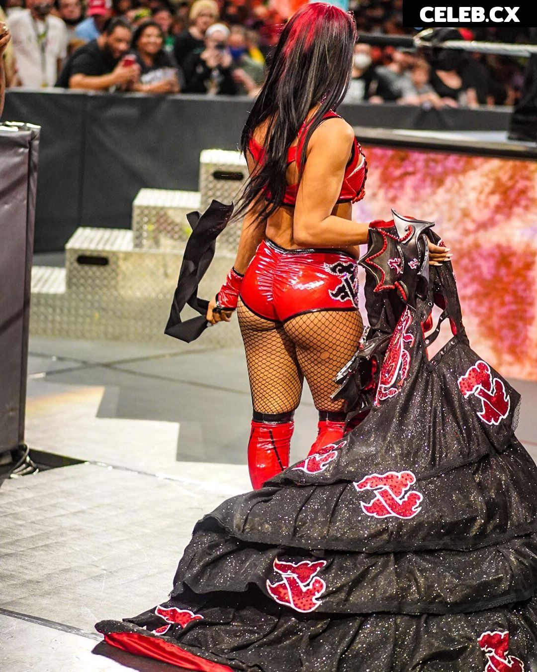 Women of Professional Wrestling Image 4465459