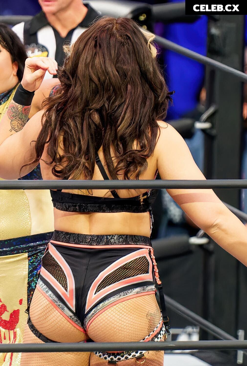 Women of Professional Wrestling Image 4465788