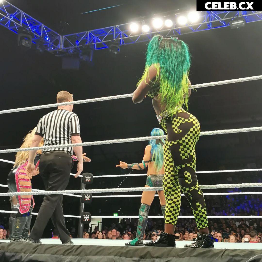 Women of Professional Wrestling Image 4461441