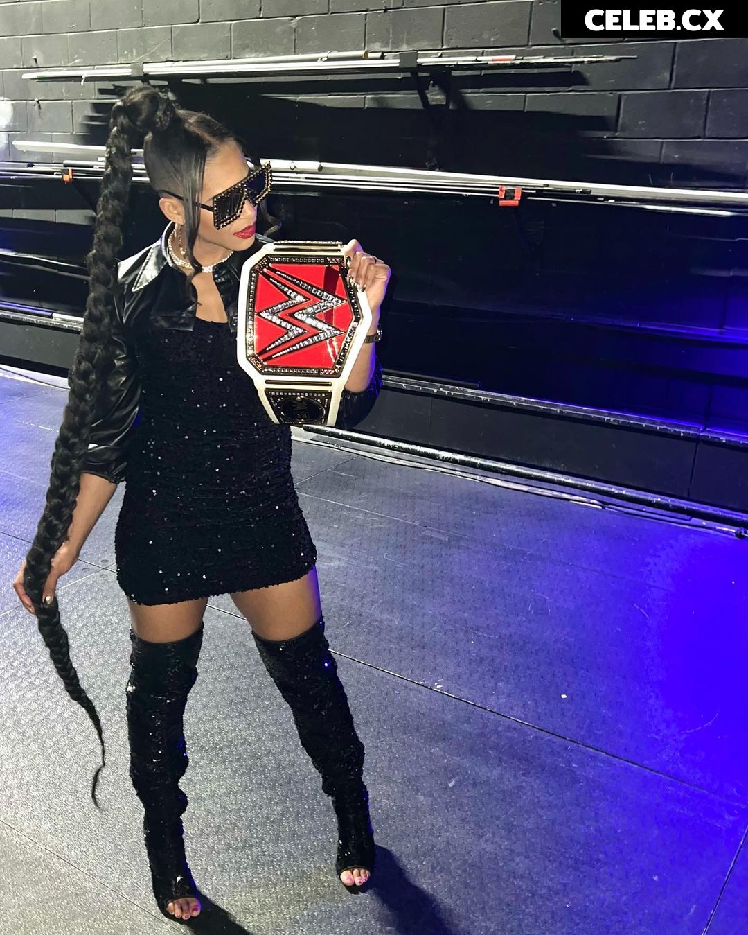 Women of Professional Wrestling Image 4461035