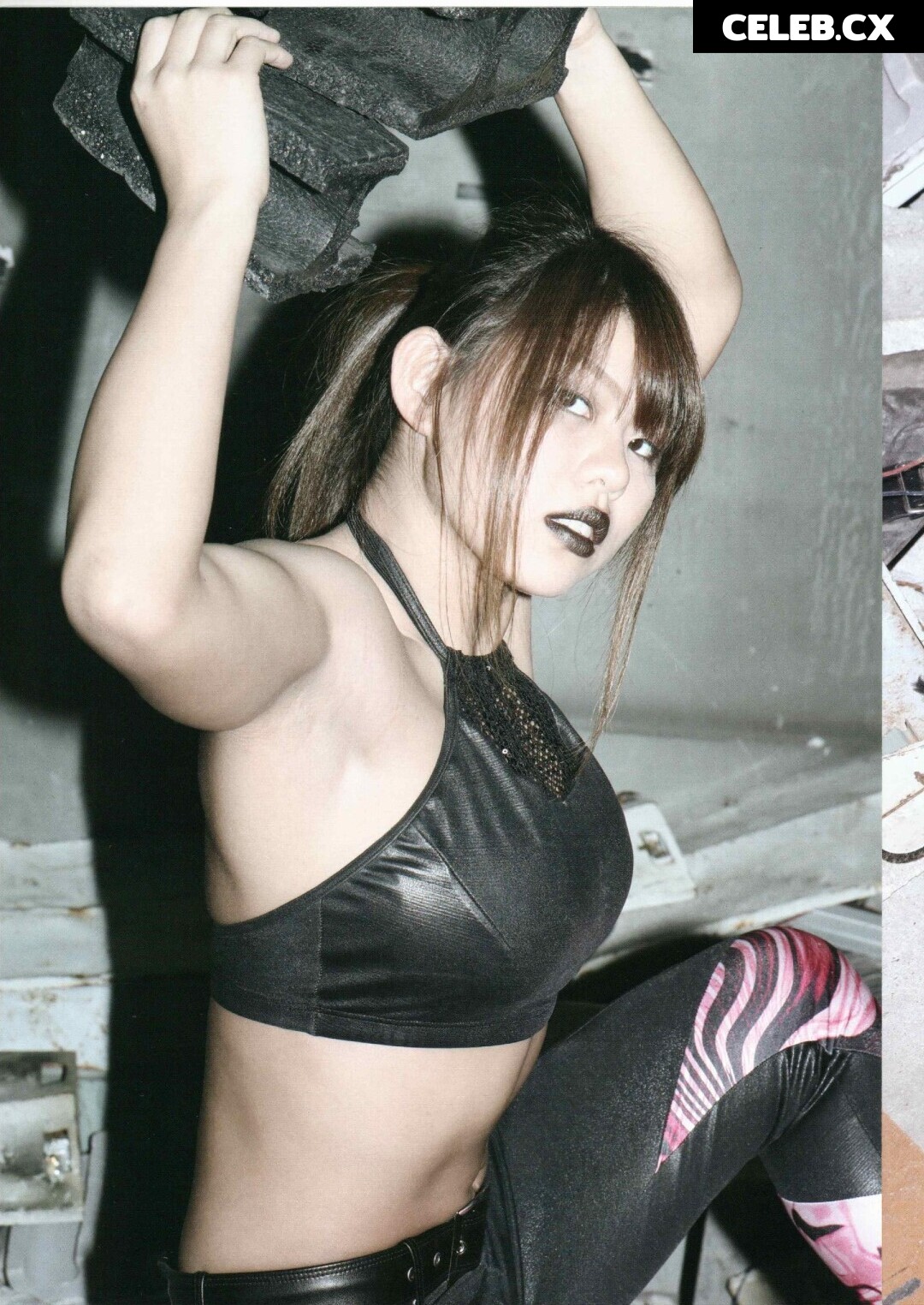 Women of Professional Wrestling Image 4463038