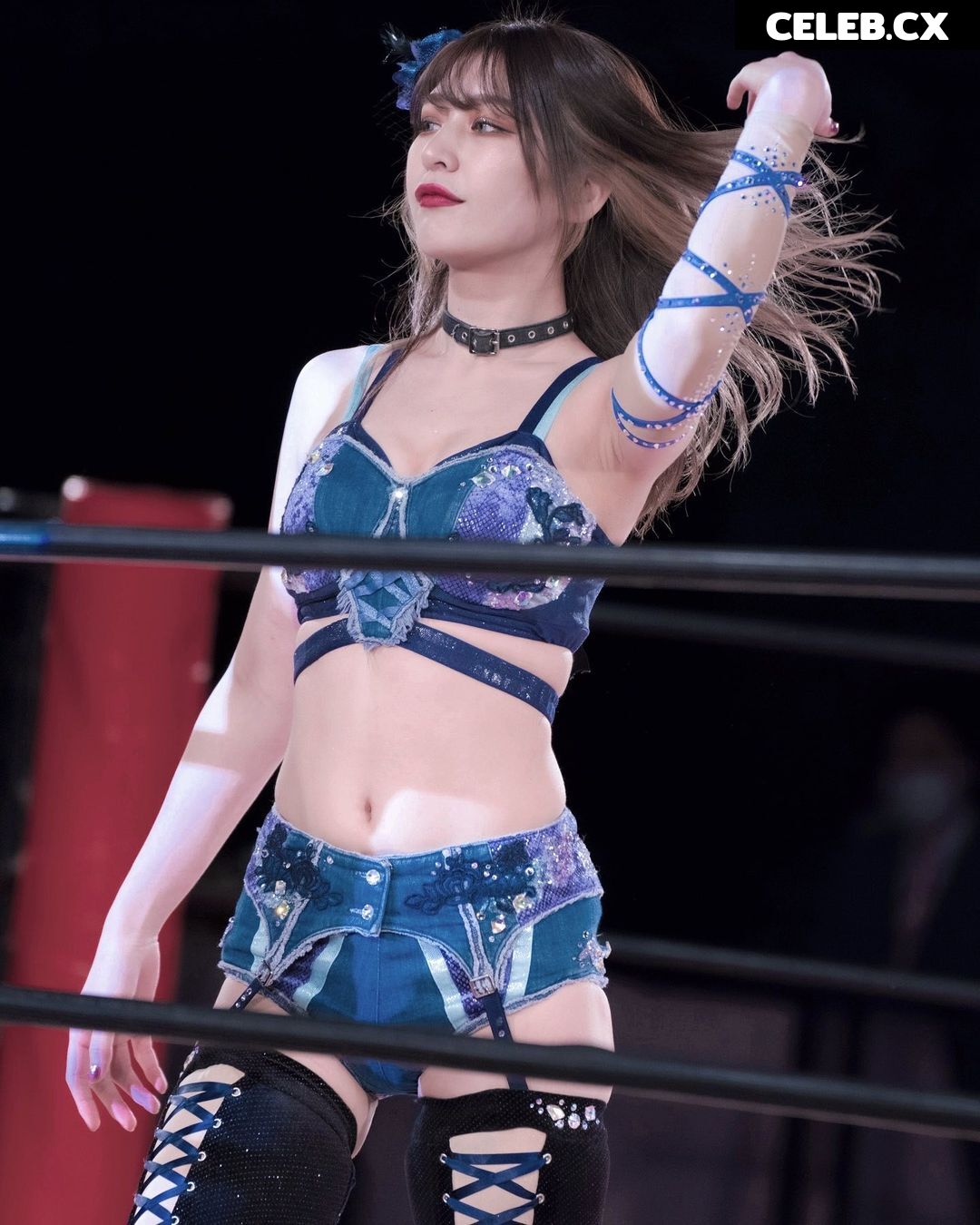 Women of Professional Wrestling Image 4460820