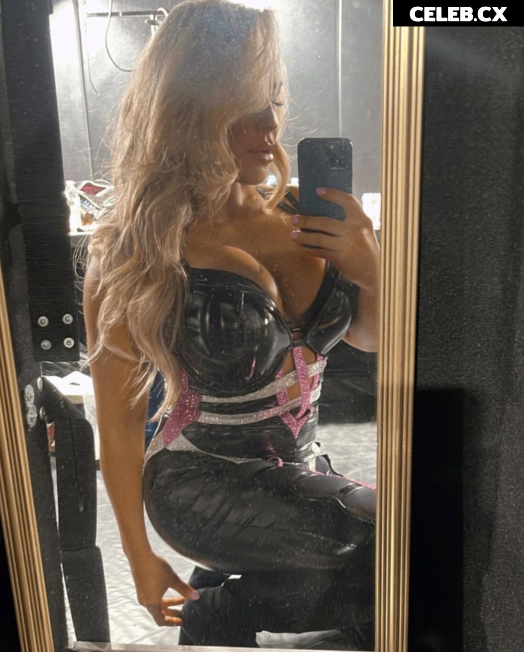 Women of Professional Wrestling Image 4460979