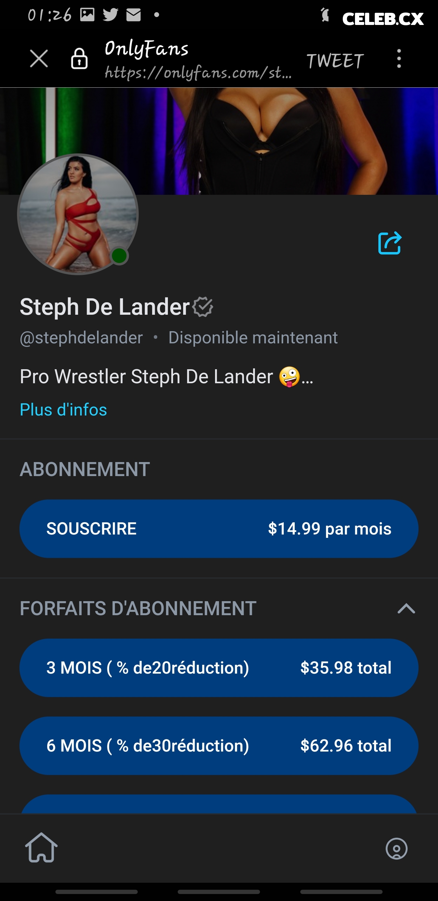 Women of Professional Wrestling Image 4468046