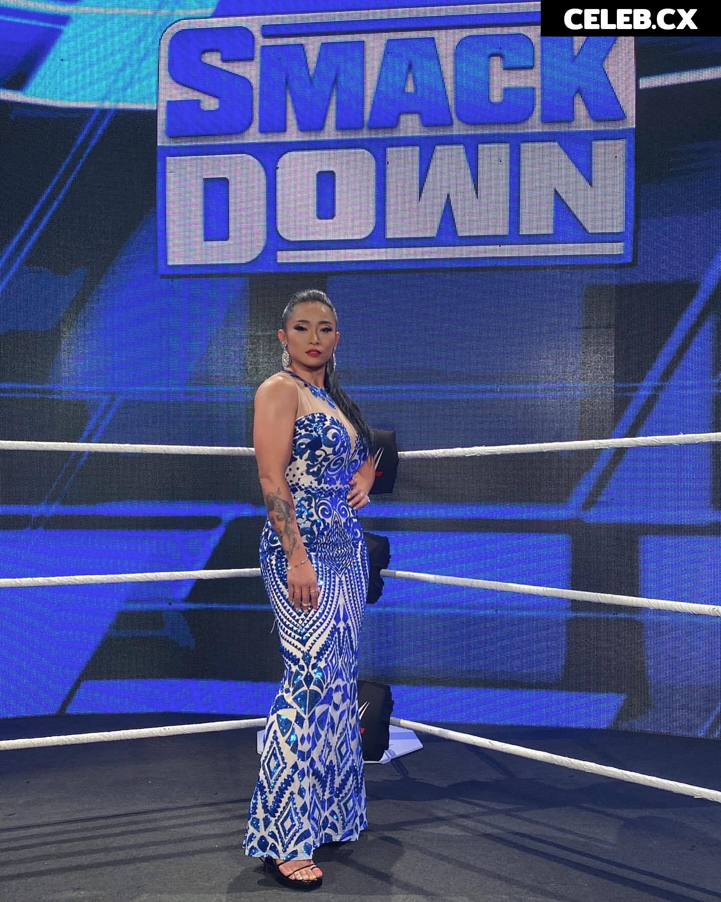 Women of Professional Wrestling Image 4455293