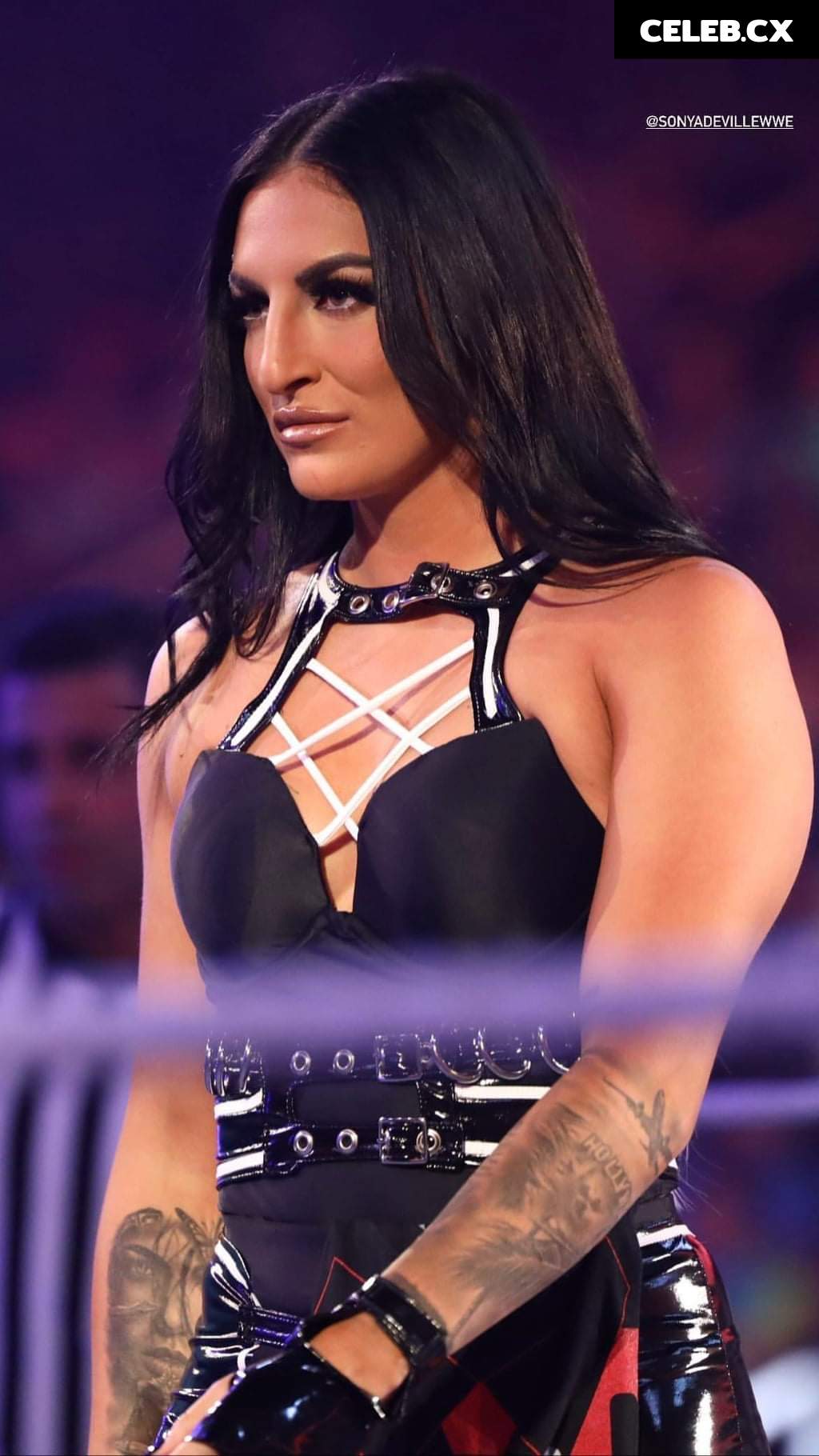 Women of Professional Wrestling Image 4454453