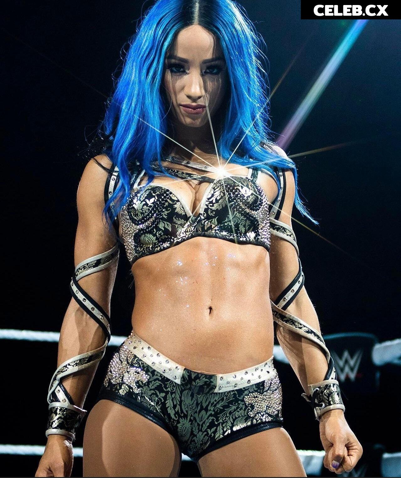 Women of Professional Wrestling Image 4451845