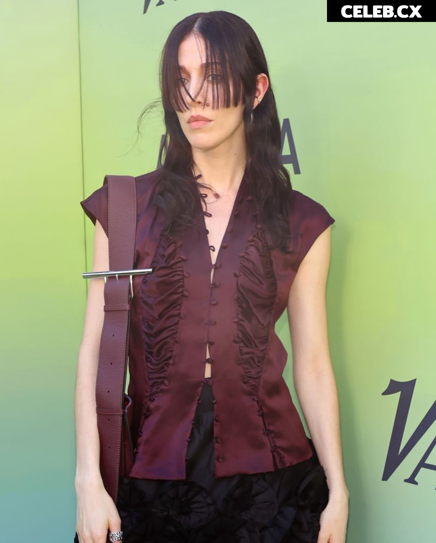 Caroline Polachek Image 4451901