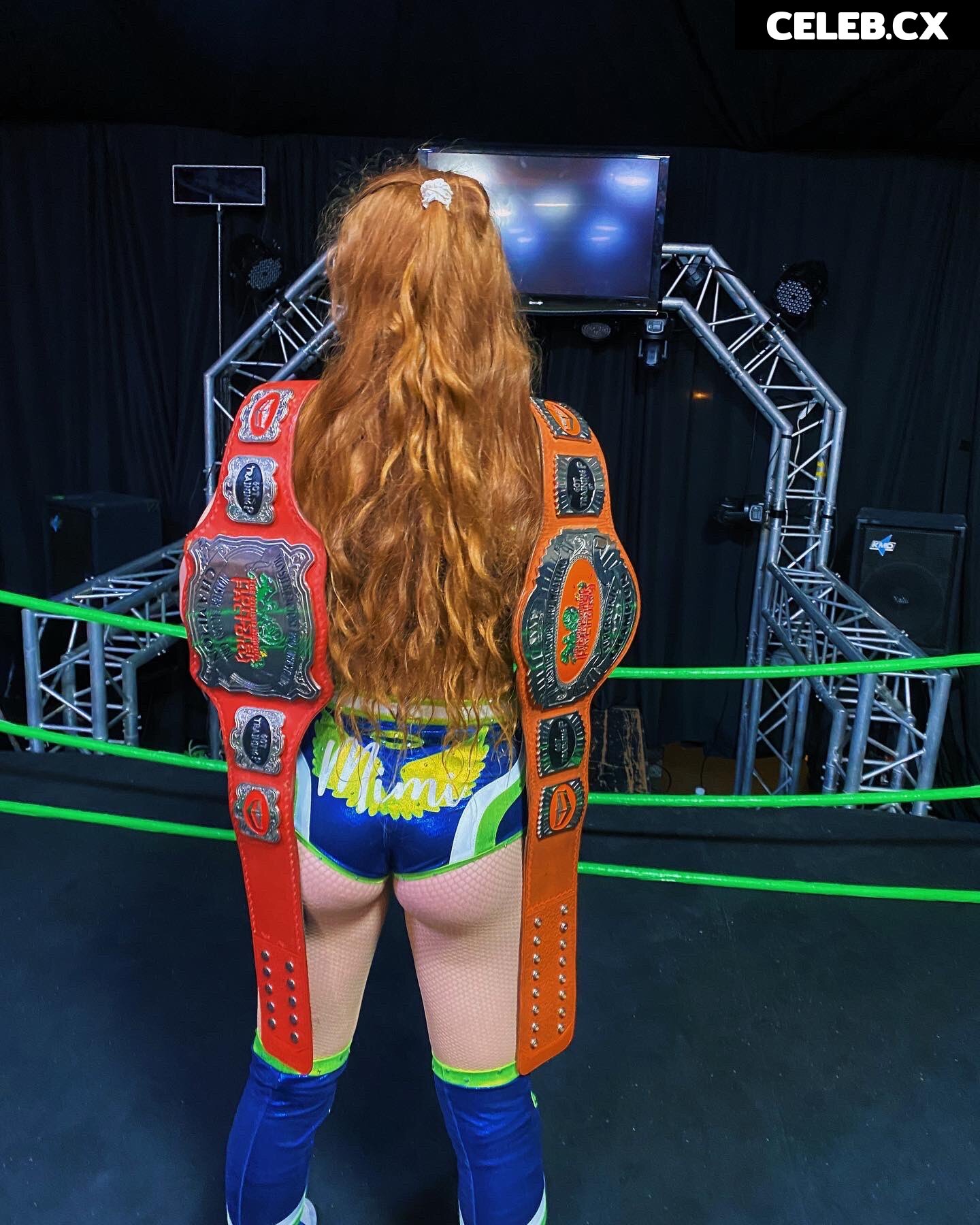 Women of Professional Wrestling Image 4450363