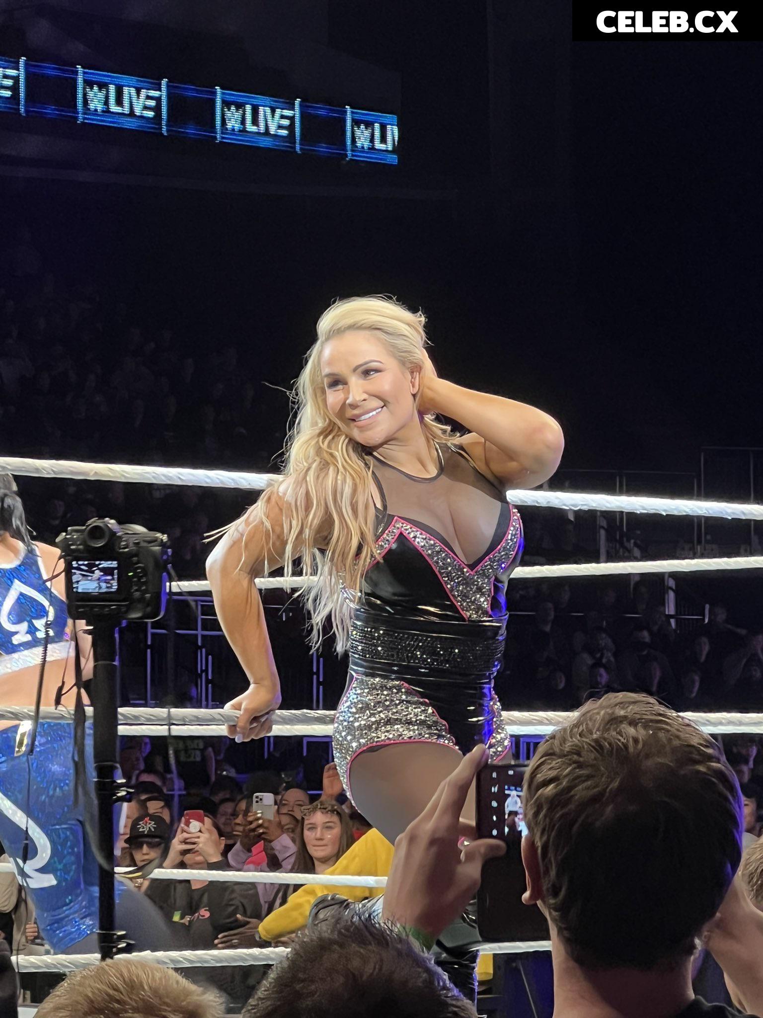 Women of Professional Wrestling Image 4459353