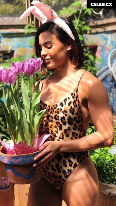 Women of Professional Wrestling Image 4443892