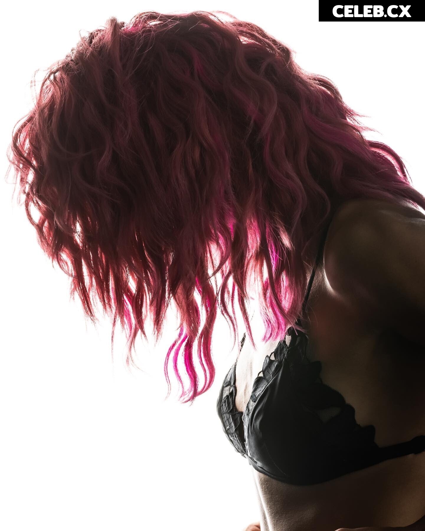 Women of Professional Wrestling Image 4432555
