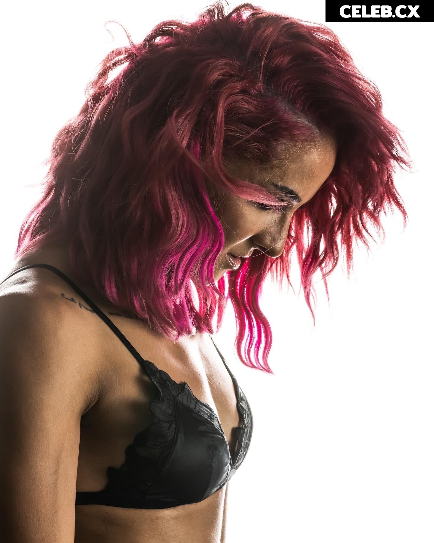 Women of Professional Wrestling Image 4432443
