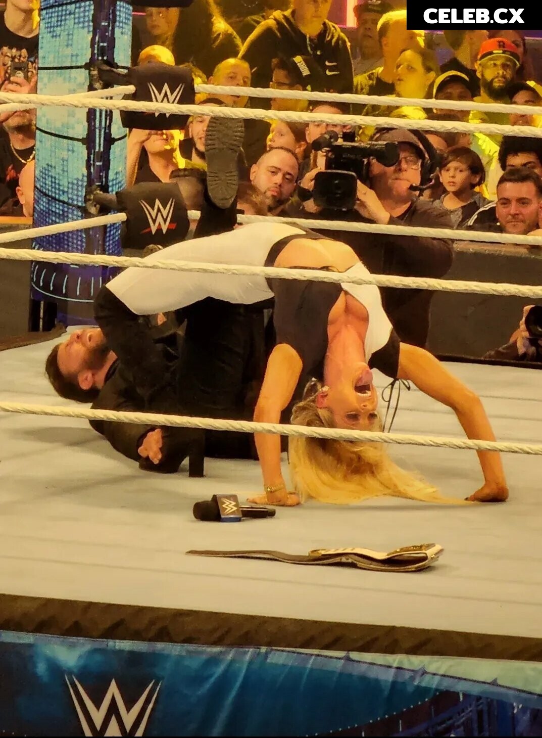 Women of Professional Wrestling Image 4439577