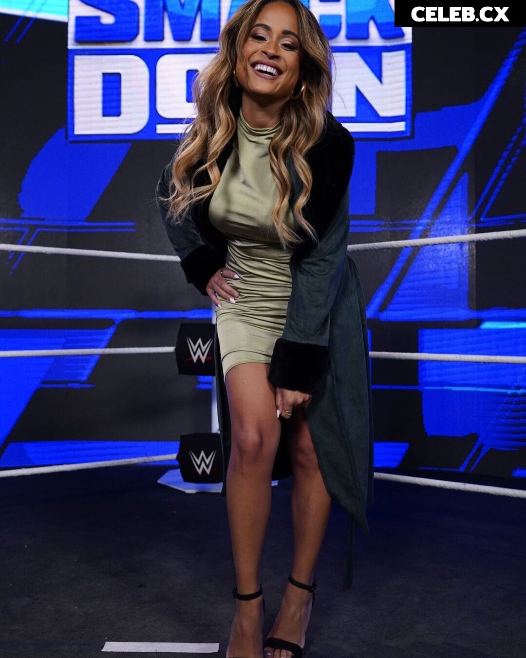 Women of Professional Wrestling Image 4438850