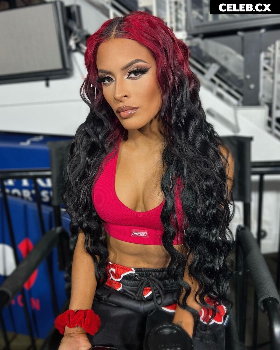 Women of Professional Wrestling Image 4438941