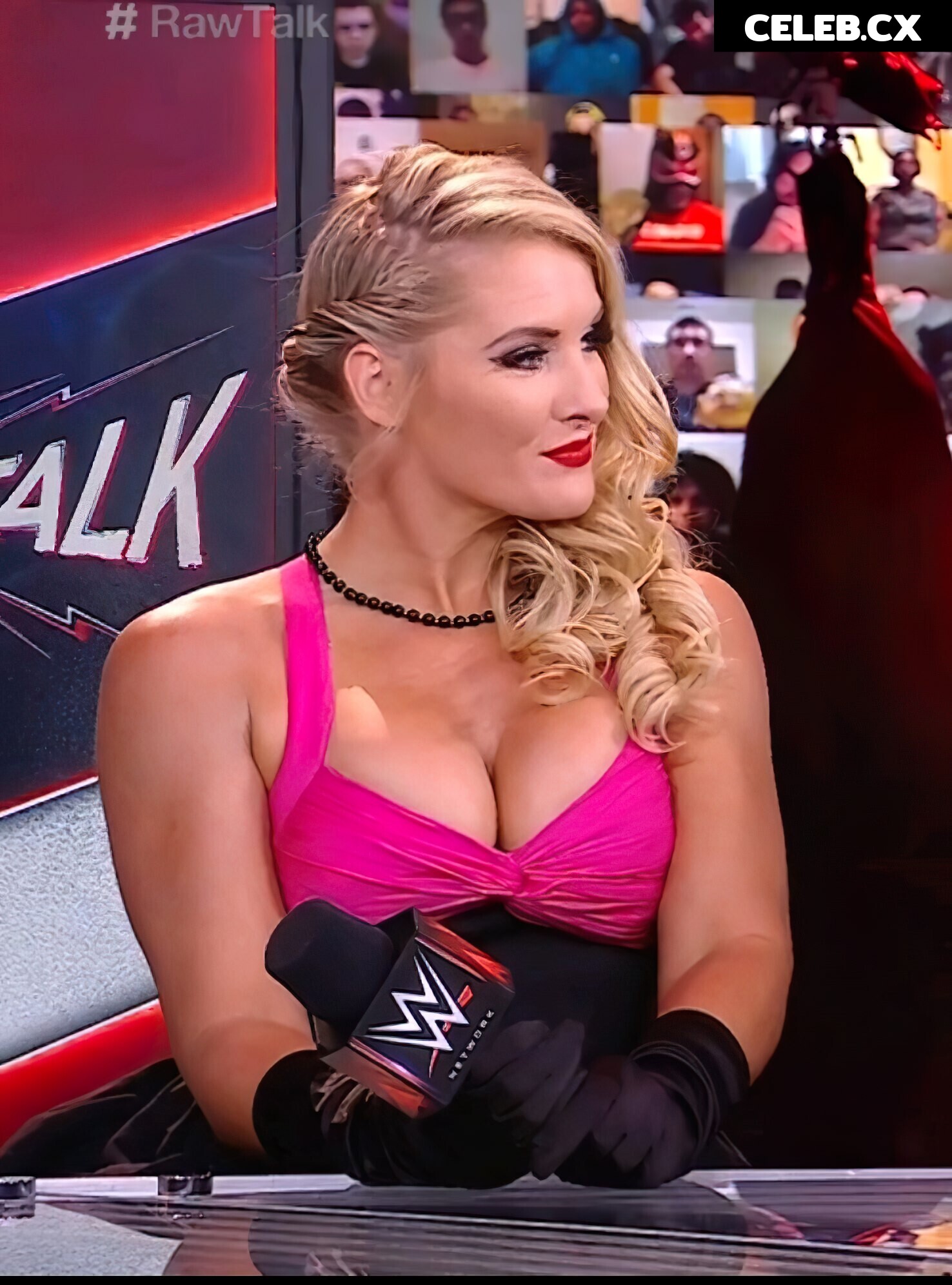Women of Professional Wrestling Image 4424401