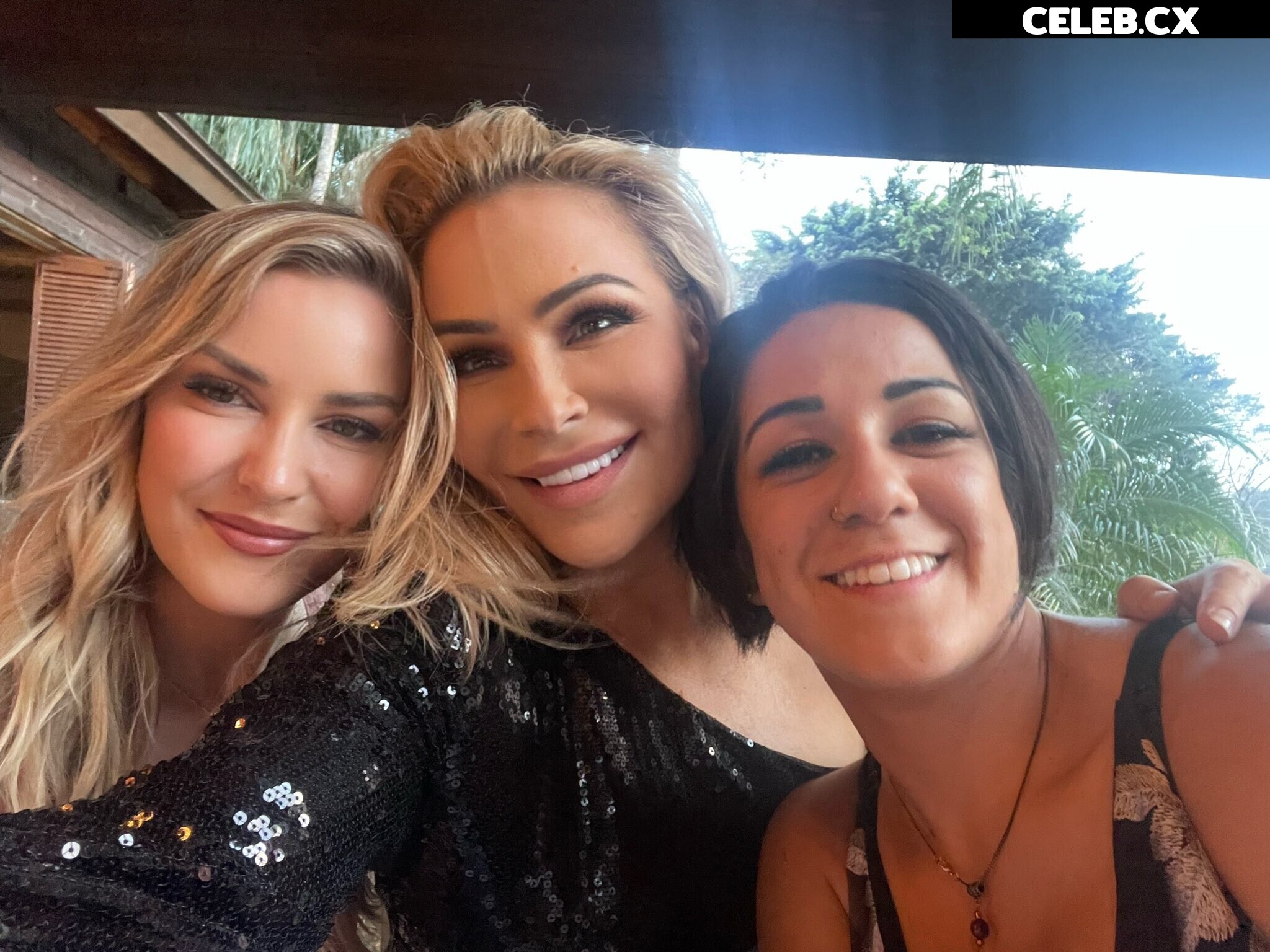 Women of Professional Wrestling Image 4422599