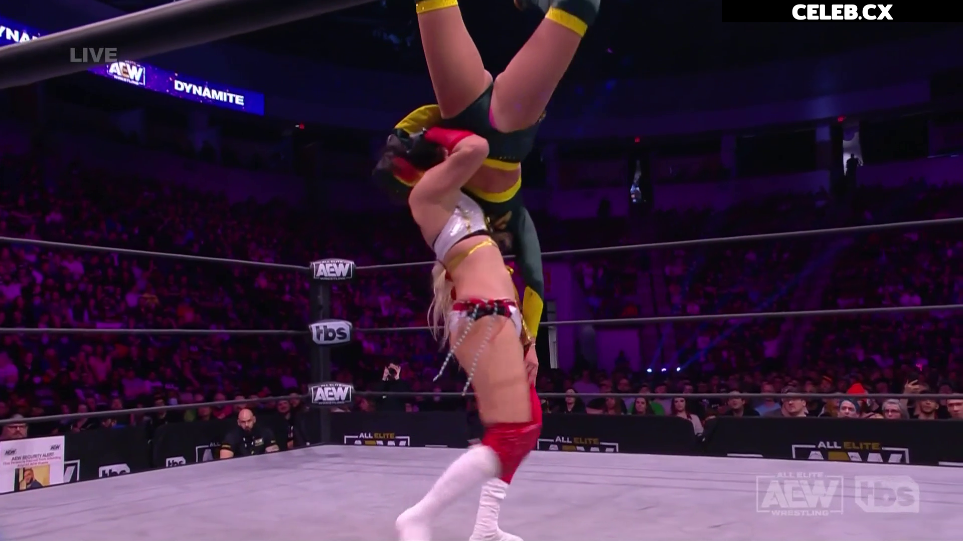 Women of Professional Wrestling Image 4420380