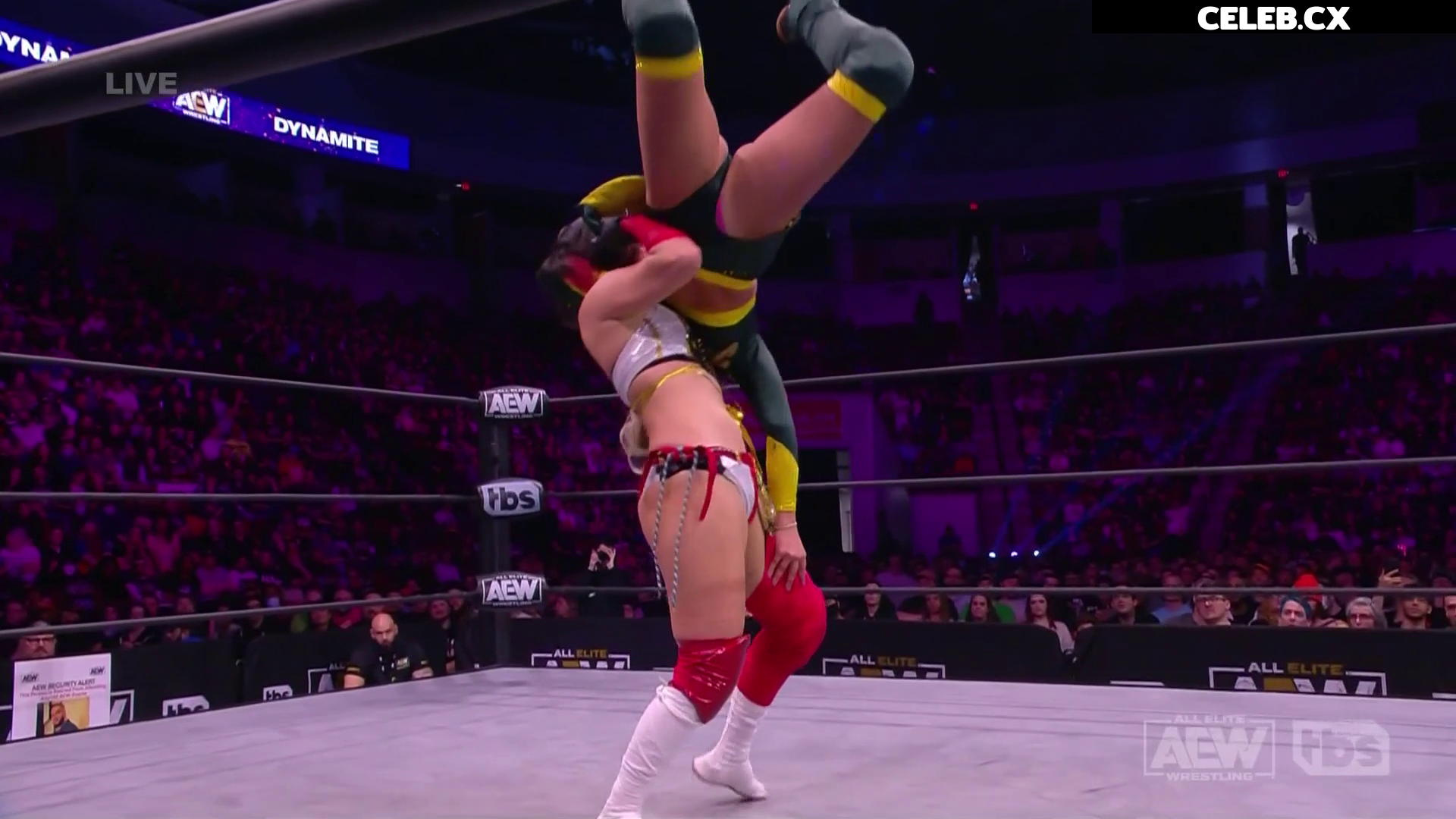 Women of Professional Wrestling Image 4420320