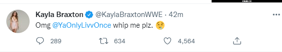 Women of Professional Wrestling Image 4406840