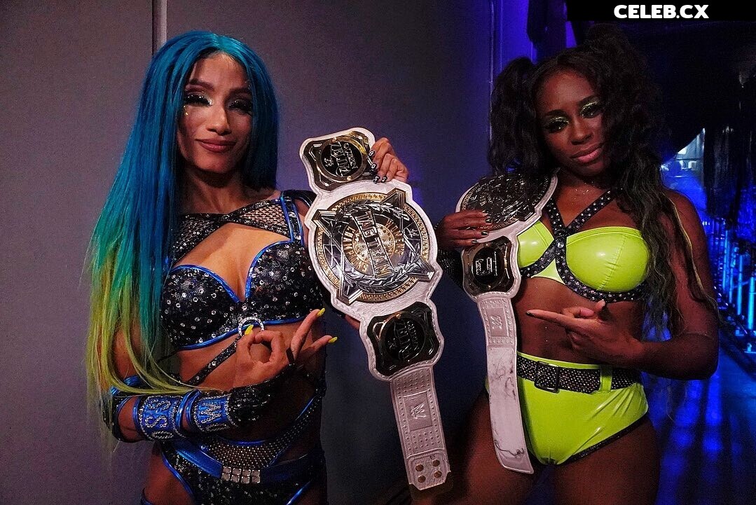 Women of Professional Wrestling Image 4407000