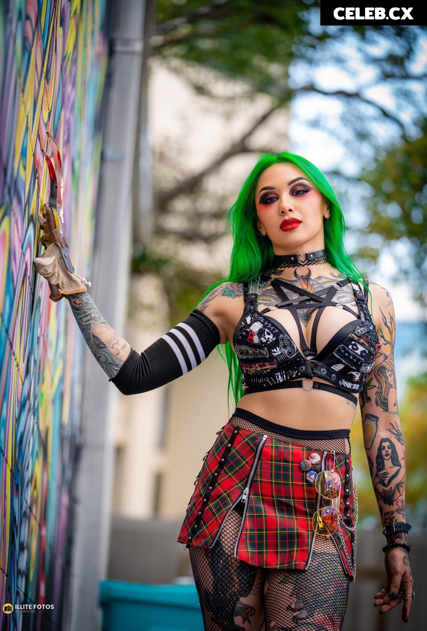 Women of Professional Wrestling Image 4404580