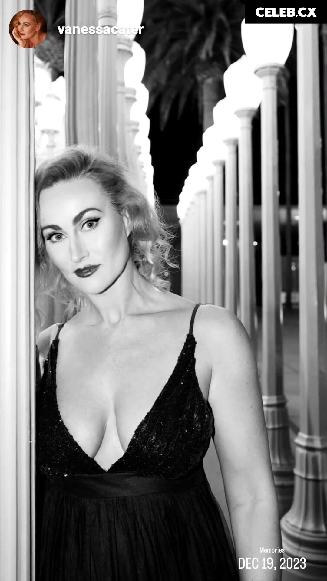 Vanessa Cater Image 4404008